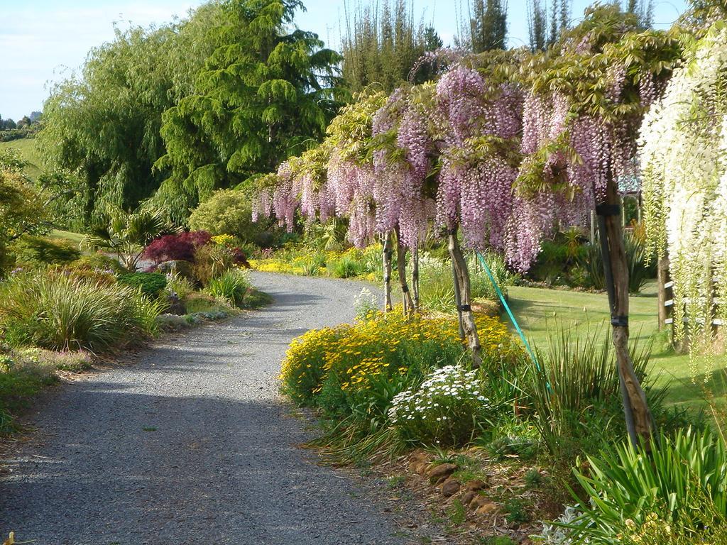 The Georgian Lodge Kerikeri Zewnętrze zdjęcie